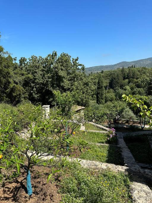 Mount Minis - Casa Bruno Villa Sivota  Ngoại thất bức ảnh