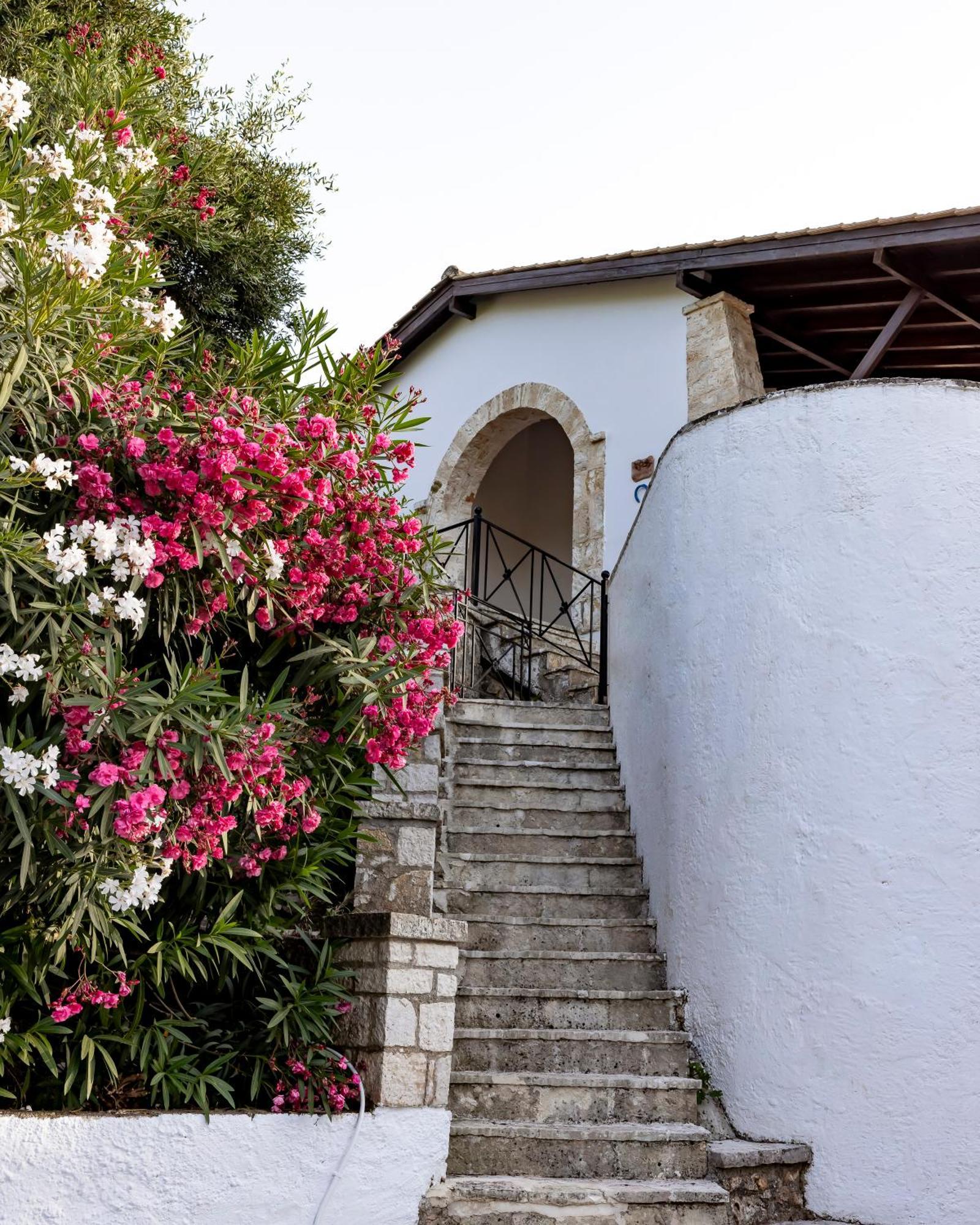 Mount Minis - Casa Bruno Villa Sivota  Ngoại thất bức ảnh